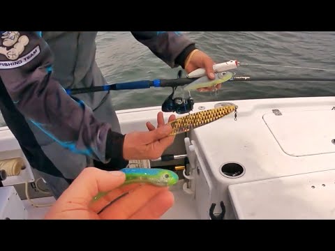 HOW to Find Striped Bass. HOW TO KNOW WHAT BAITS TO USE! Striper fishing. 