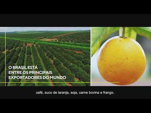 AGRICULTURA E PECUÁRIA