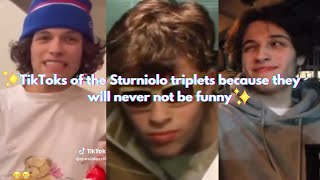 TikToks of the Sturniolo triplets because they will never not be funny