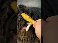 Она не ожидала этого #shorts