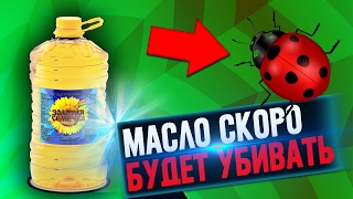 Чем опасно подсолнечное масло? // Шокирующий факт стал известен!