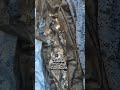 Nuova collezione di veli in arrivo!