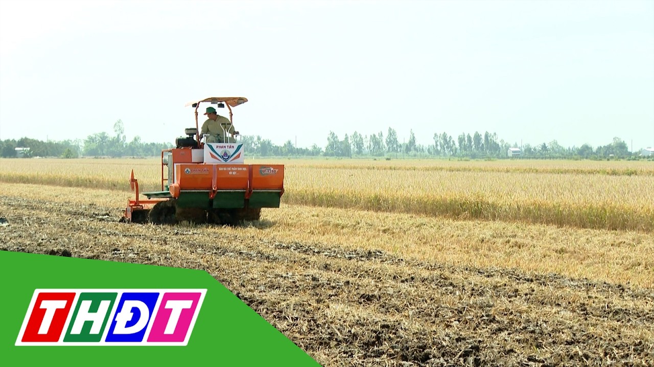 Đẩy mạnh phục hồi môi trường đất từ Đề án 1 triệu ha | THDT