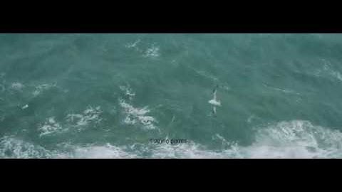 Apausalypse - Trailer