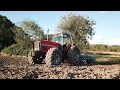 PATCHING HOLES, FEEDING AND HARROWING ALL IN A SEPTEMBER DAY