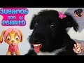 Mejores Vídeos de Mi Perro cachorro! 🐶 juguetes Paw Patrol y Pj Masks en español