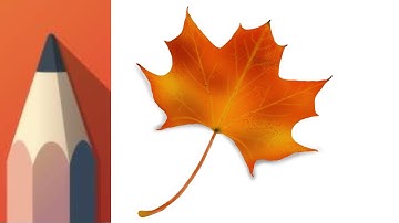 Easy Drawing Autumn Leaf | Autodesk Sketchbook Tutorial | Leaf Drawing