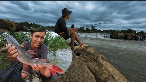 Săn cá Lăng Giữa Thác Nước Chảy Xiết Vào Những Ngày Mùa Nắng ❤️❤️❤️/ Câu Cá Sông Đồng Nai