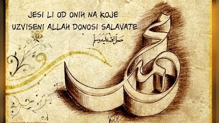 JESI LI OD ONIH NA KOJE UZVISENI ALLAH DONOSI SALAVATE