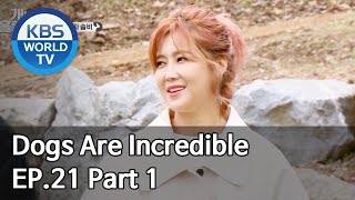 Dogs are incredible | 개는 훌륭하다 EP.21 Part 1 [SUB : ENG/2020.04.14]