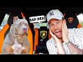 Bringing my Dog in my Lamborghini (BAD IDEA) 🤦🏻‍♂️ | FamousTubeFamily