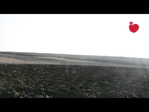 ვაუჩერების გაცემის იმედით გამყოფ ხაზთან ნაკვეთები შემოდგომით ვერ დაამუშავეს