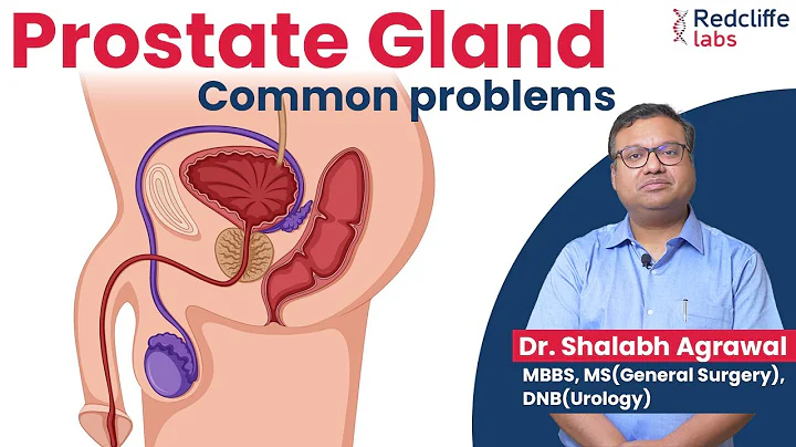 ✅ Prostate Gland and Urinary Problems Home Remedies | ✅ Prostate Gland Problems Symptoms & Treatment - DayDayNews