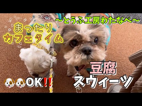 夫婦でお豆腐スイーツ!愛犬たちも一緒にカフェでのんびり休憩」【ときがわ町】