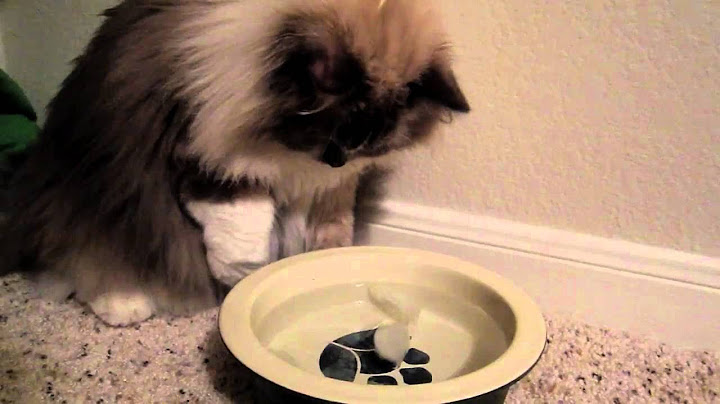 Watch the video about Tyco