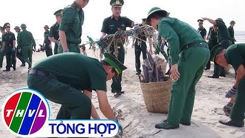 THVL | Gần 1.000 tình nguyện viên thu gom rác trên bãi biển Vũng Tàu