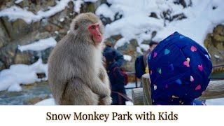 Snow Monkey Park with Kids! // Japan Family Travel