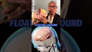 Shocking Truth About Concussions! 🤯