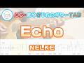 【TAB】Echo / NELKE まゆげじおのギター弾いてみた Guitar Cover