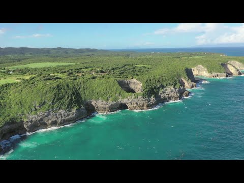 La Guadeloupe gourmande,