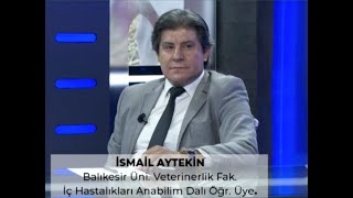 Çelerme, Enterotoksemi̇ İle Nasil Baş Edi̇li̇r. Doç. Dr. İsmai̇l Ayteki̇n