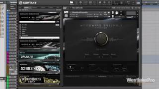 Woodwind Ensemble Review by Native Instruments | Westlake Pro