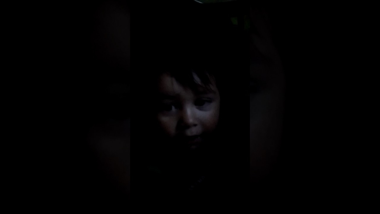 camera iphone 8 plus apk Ninja turtle mark