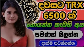 New free tron cloud mining site sinhala 2021 | How to eran emoney online sinhala 2021 | srilanka |lk