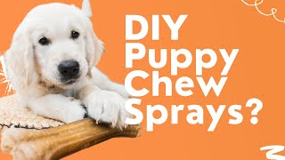 5 DIY Puppy Chew Sprays [Stop Puppy Chewing Everything]