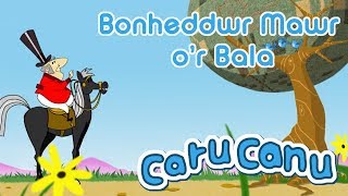 Video thumbnail of "Caru Canu | Bonheddwr Mawr o’r Bala (Welsh Children's Song)"