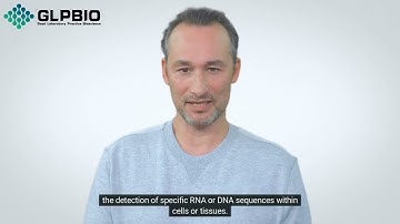 Biotin-Tyramide: Precision Amplification in Molecular Visualization | GlpBio