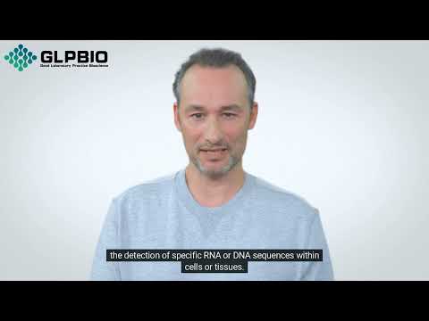 Biotin-Tyramide: Precision Amplification