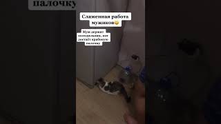 слаженная работа 😅 #юмор #приколы #shortvideo #shortsvideo #shorts  #short #любовь #лучшее