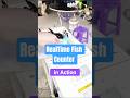 This Machine Counts Fish in Real Time with Zero Errors 🐟
