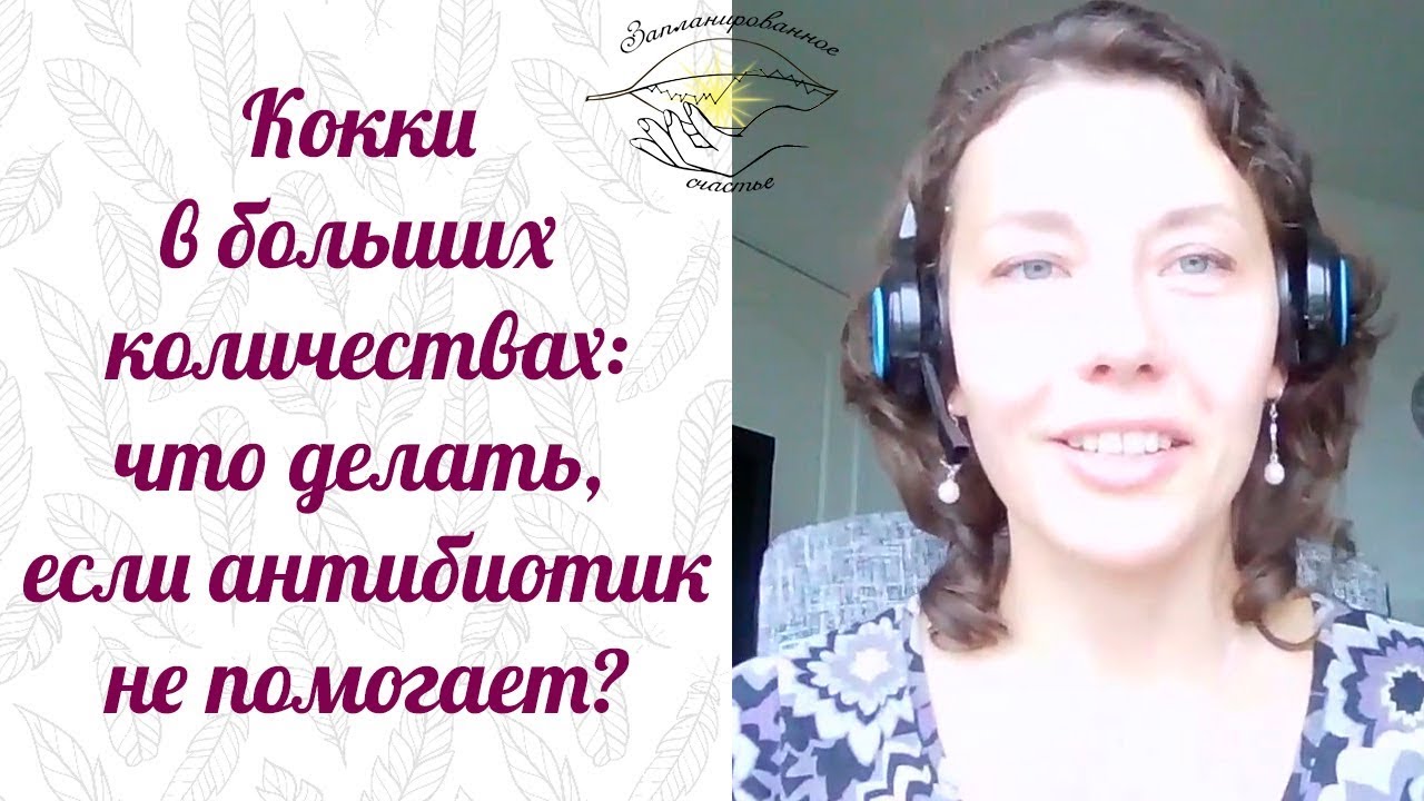 Кокк бактерия. Кокки в большом количестве в мазке: что делать если антибиотик не помогает?