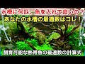 水槽に何匹魚を入れても良いの？「飼育可能な熱帯魚の最適数の出し方（決定版）」ＡＤＡネイチャーアクアリウム立ち上げ方法、初心者向け水草レイアウト水槽作り方、テトラ、グッピー、メダカ、金魚、エビ、水草水槽