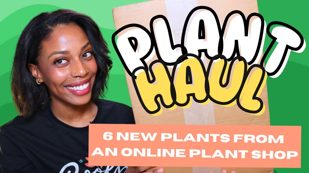 Online Houseplant Haul | Gabriella Plants Unboxing + 6 Houseplants I’m Obsessed With