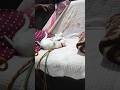 பூனை மேய்க்குறோம் நைட் 1 மணிக்கு @Highrangeexplorer #catlovers #catvideos