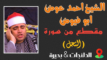 مقطع روووعه من سورة النحل للشيخ أحمد عوض أبو فيوض 💙 الدلنجات بحيرة