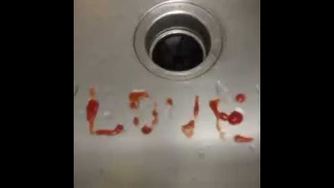 David Lopez Vine How to be Leona Lewis #remake #music #loop #vineportraits