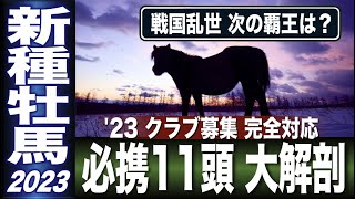 【一口馬主クラブ完全対応】新種牡馬必携11頭2023　初年度産駒がクラブデビューする期待の父たち　【計算する血統】No.187