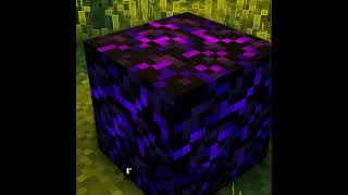 Which Block Is STRONGER Than Bedrock?! 👀 #minecraft #shorts