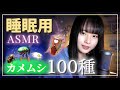 【安眠】羊のかわりに、カメムシ目100種数えます。
