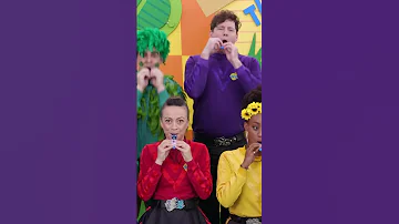 Kazoo Song The Wiggles 