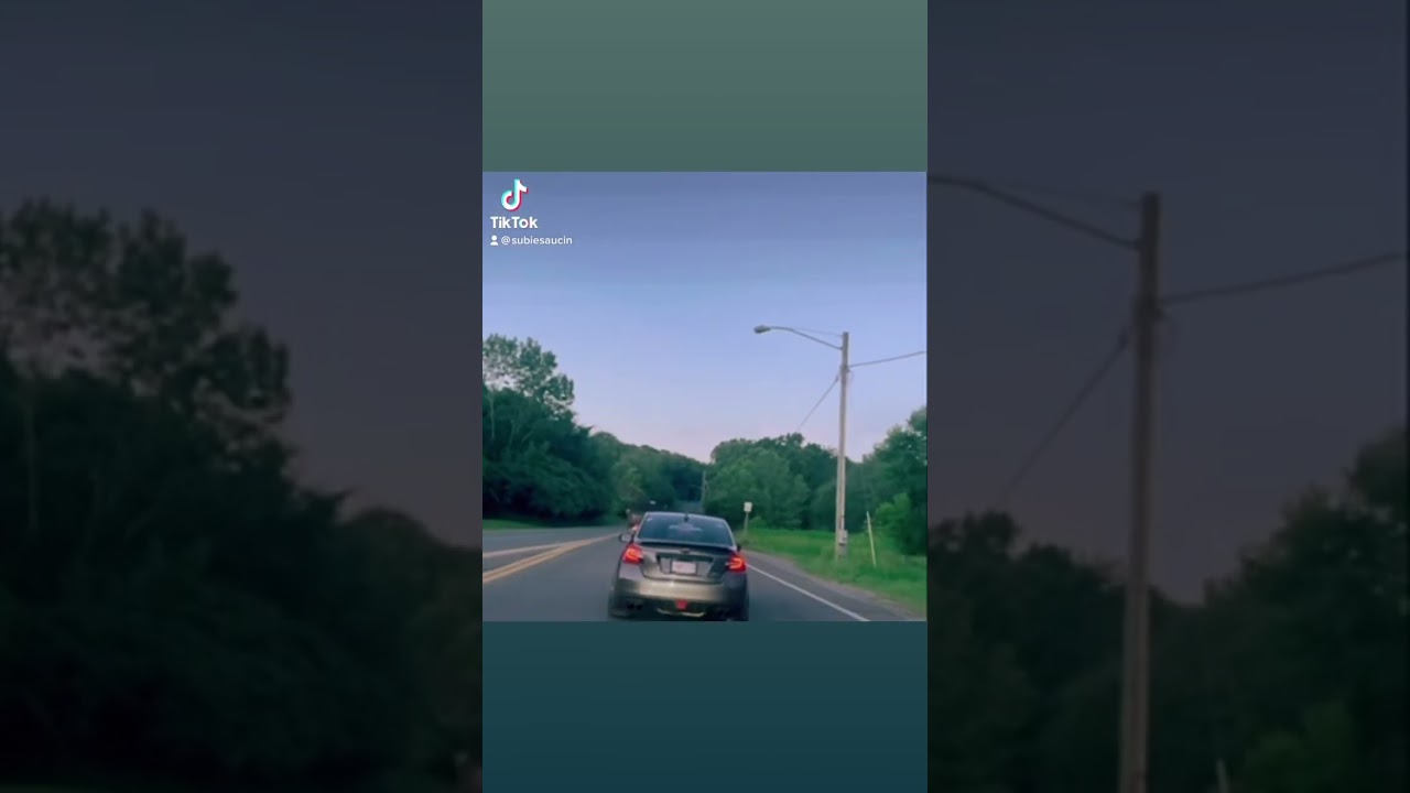 Like a dog without a bone