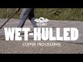 Wet-Hulled Coffee Processing