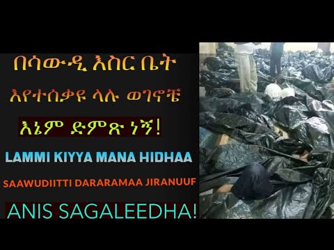 Warroota Mana Hidhaa Saudii Jiraanifi Furmaan Maalifha