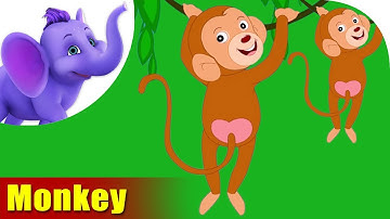 Monkey Rhymes, Monkey Animal Rhymes Videos for Children