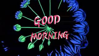 VID 20180525 WA0001