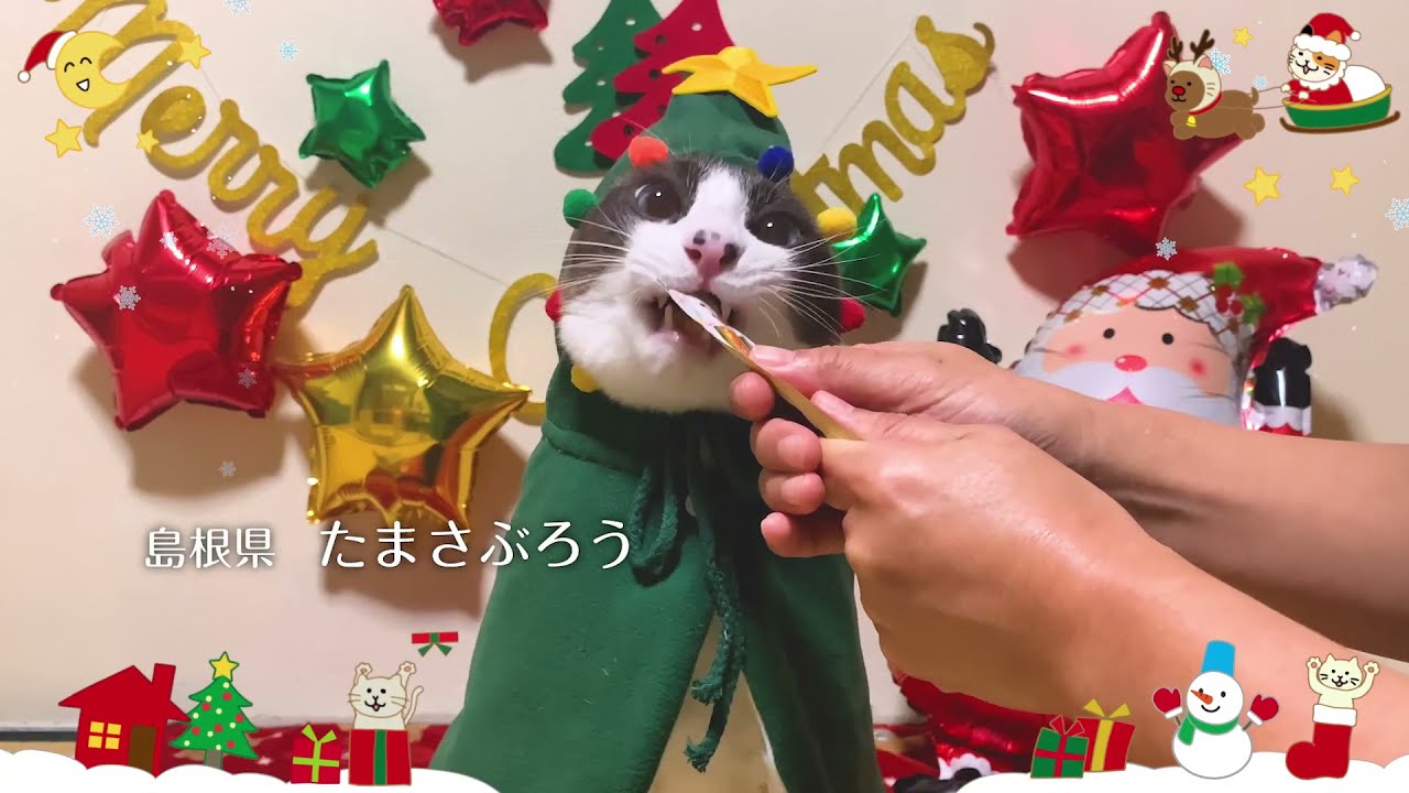 2021 CIAOちゅ～る「クリスマス篇 Part2」（いなば食品グループ